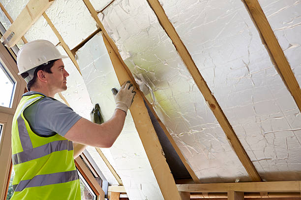 Best Local Insulation Services  in Van Wert, OH